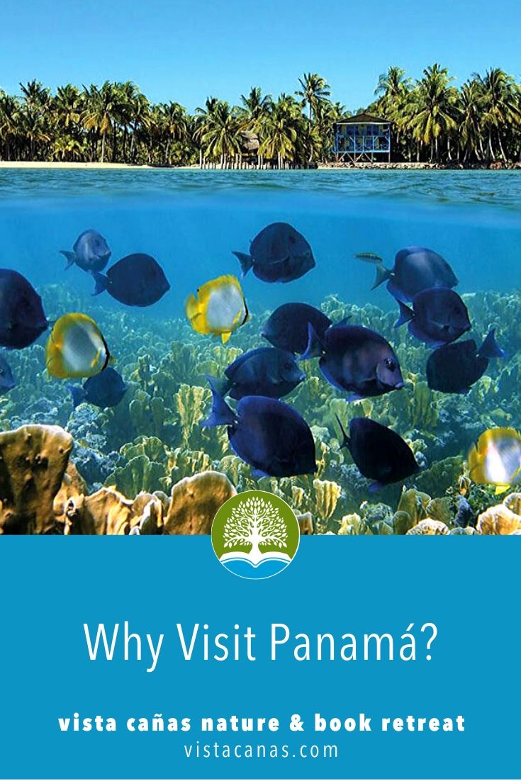 why visit panama? Read these reviews of Panama! vista cañas