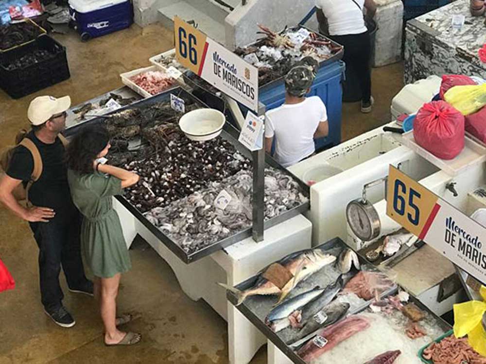 Mercado de Mariscos — Fish Market in Panama City | VISTACANAS.COM