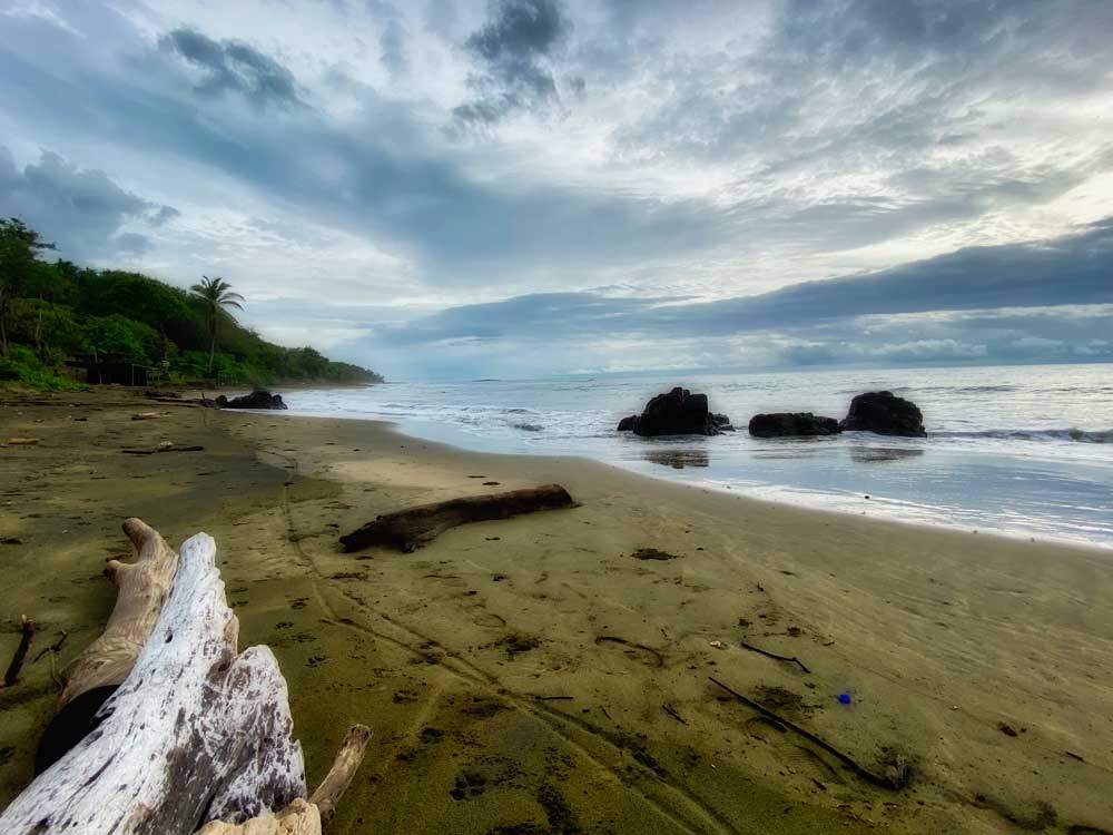 Playa-Toro-7-f