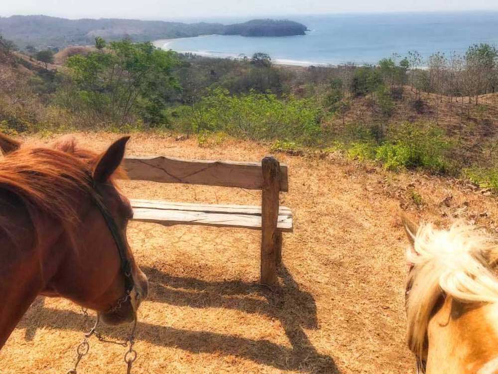THINGS TO DO IN PANAMA: horseback riding in playa venao | VISTACANAS.COM