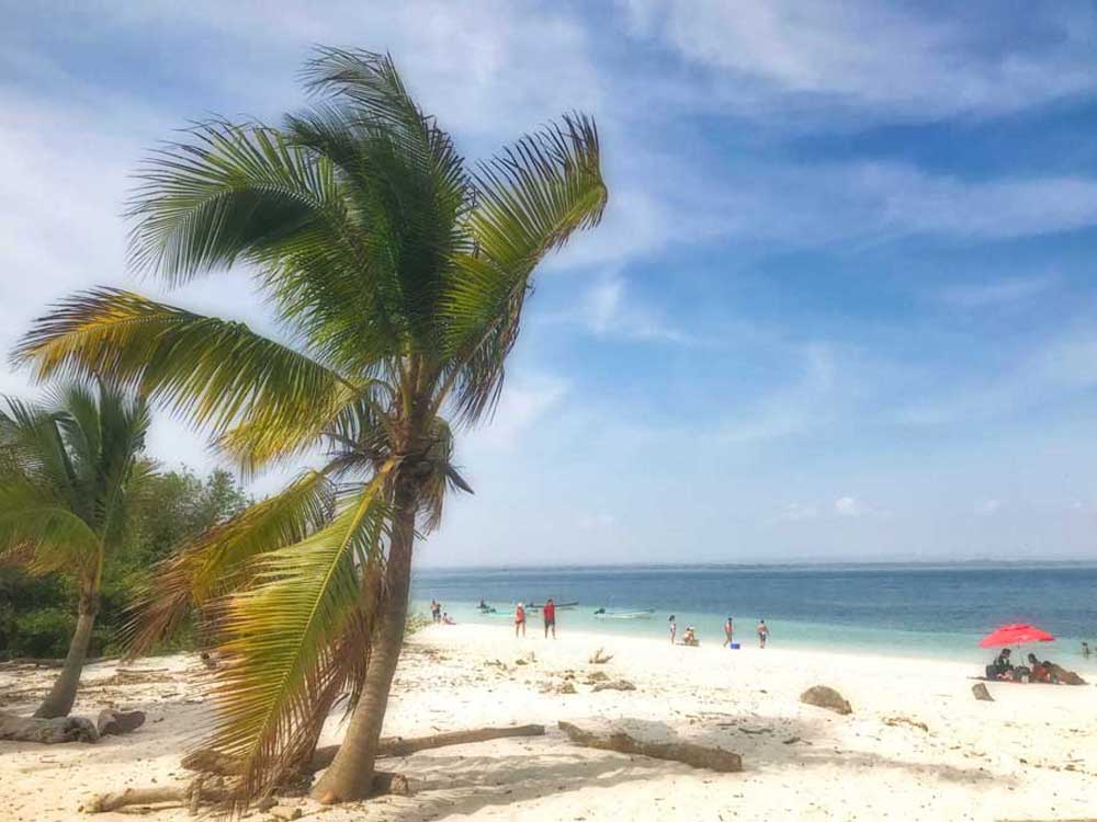 THINGS TO DO IN PANAMA: Explore & Snorkel Isla Iguana | VISTACANAS.COM