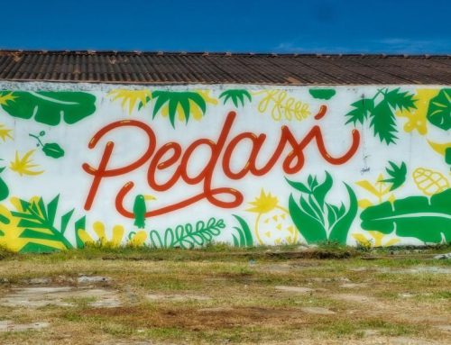 5 ways to get from panama city to pedasi, playa venao & cañas