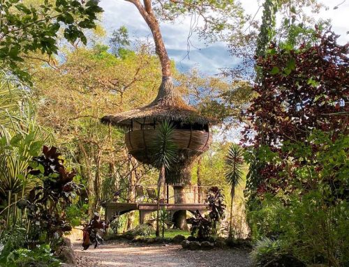 stay in a panama treehouse & soak in hot springs